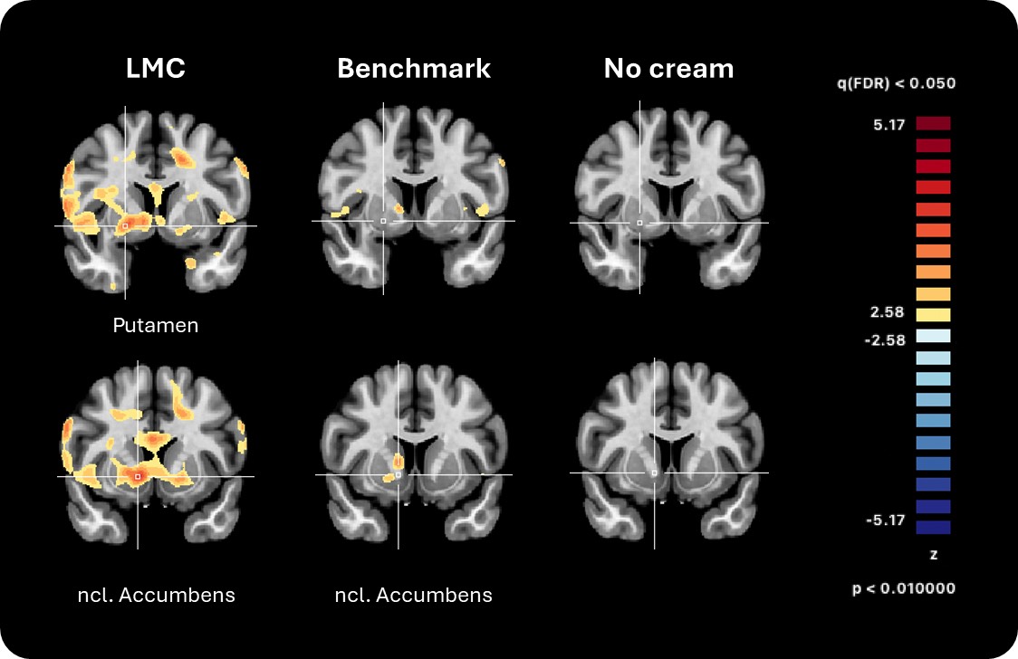 Brain Impact  - Decoding the brain