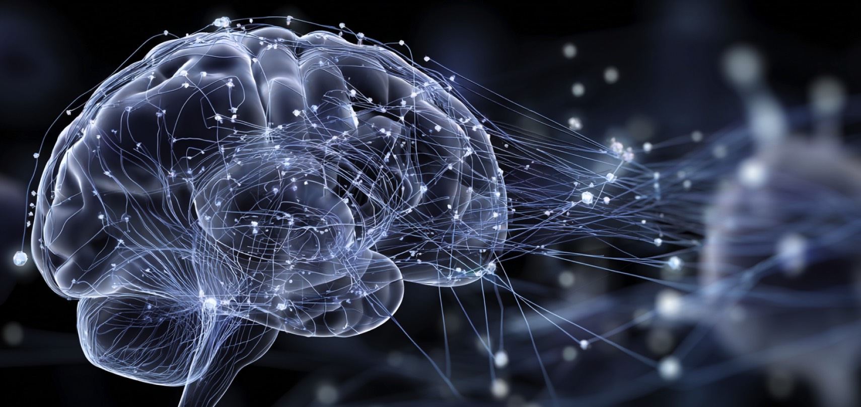 Brain Impact  - Decoding the brain