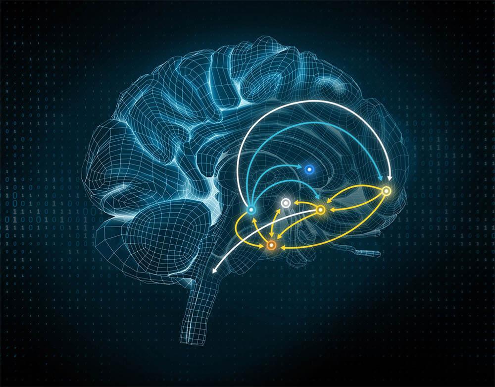 Brain Impact  - Decoding the brain