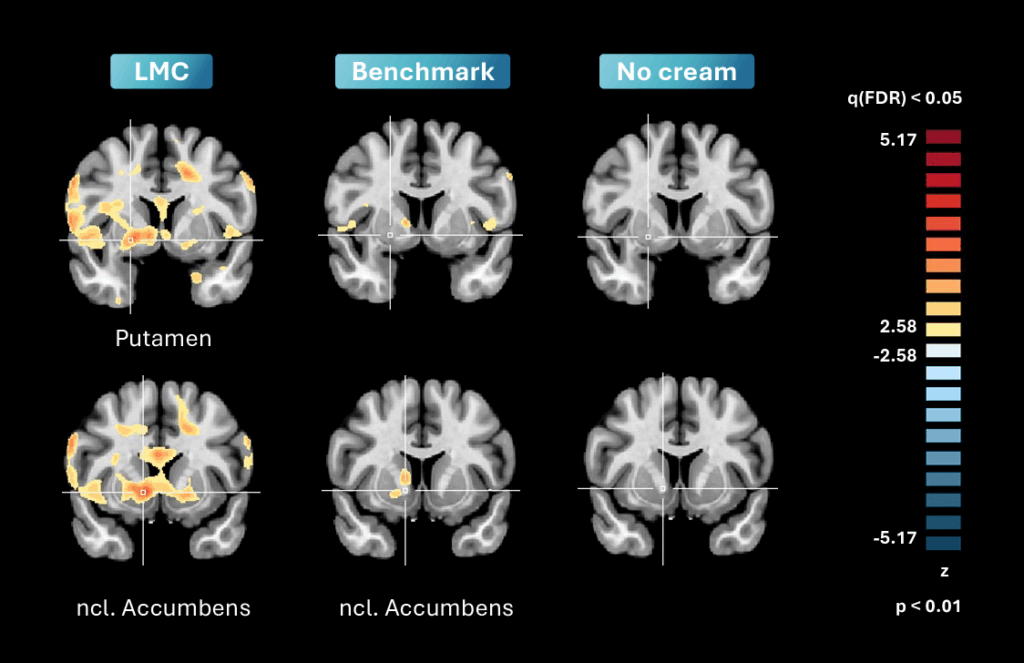 Brain Impact  - Decoding the brain