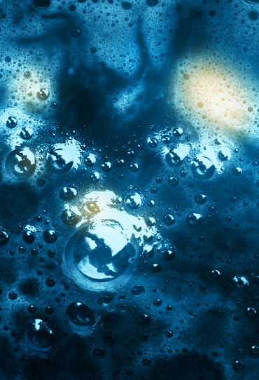 Brain Impact  - Decoding the brain