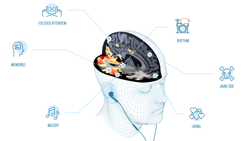 Brain Impact  - Decoding the brain